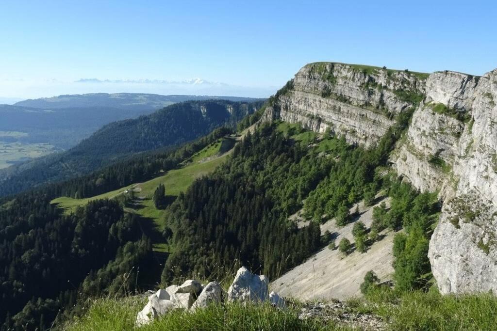 Studio « Le Petit Montagnard » Malbuisson Εξωτερικό φωτογραφία